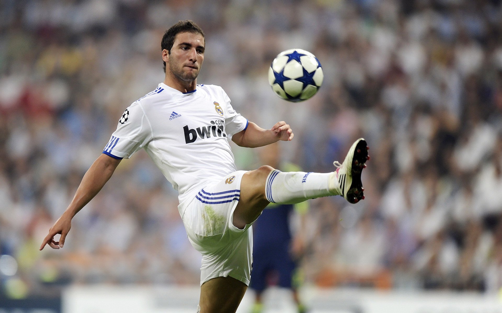 “青年球员表现出色，未来无限可能”，青年队是哪个球队